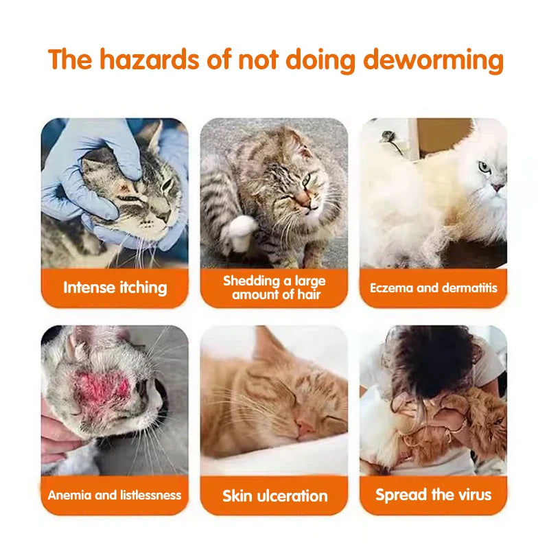 Special deworming tablets for dogs and cats