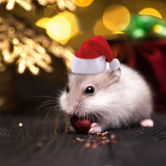 Small Pet Funny Headwear Mole Rat Christmas Hat