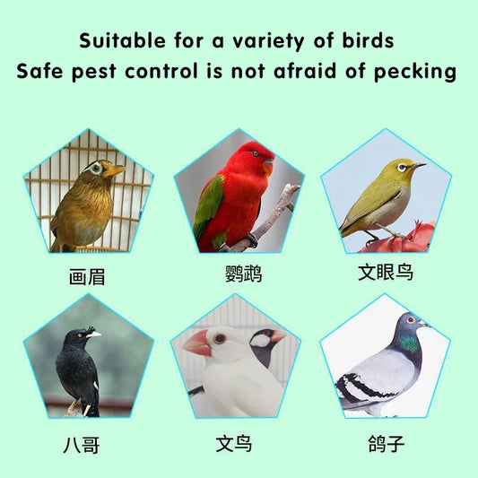 150ml Pigeon parrot natural plant essence