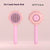 Self Cleaning Dog Brush Comb With Spray