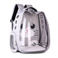 Space Breathable Shoulder Pet Backpack