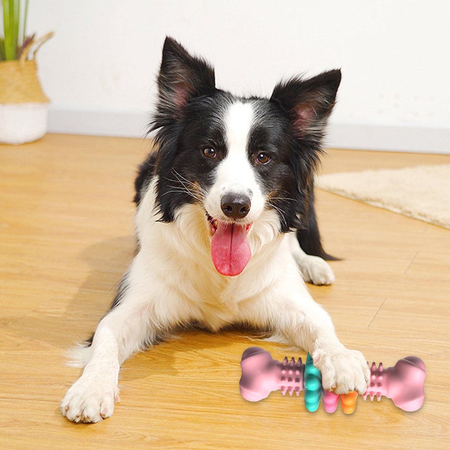 Indestructible TPR Bone Chewing Bite Resistant Teething Toys