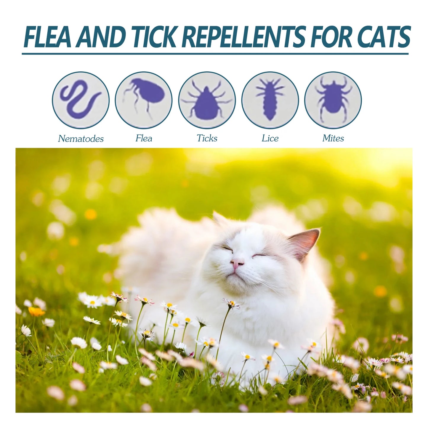 50ML Anti-flea Tick Drops for Cats & Dogs