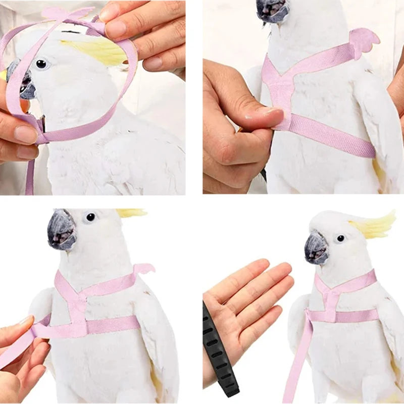 Parrot Flying Harness Leash Suit Macaw