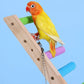 Ladder Bird Interaction Fun Climbing Parrot Toys
