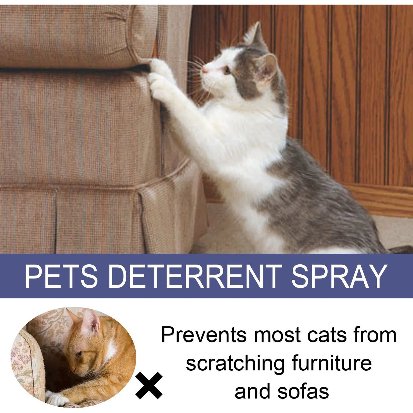 Anti Chewing Scratch Deterrent Spray Bitter