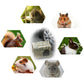 Hamster Guinea Pig Bunny Grass Chew Toy Mat House