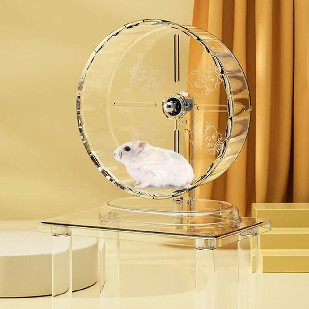 Silent Widened Transparent Running Wheel