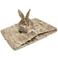 Hamster Guinea Pig Bunny Grass Chew Toy Mat House