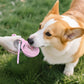Portable Dog Water Bottle with Waste Bag Dispenser