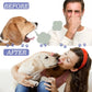 Dog Oral Care Bad Breath Teeth Cleaning Spray