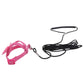 Parrot Flying Harness Leash Suit Macaw