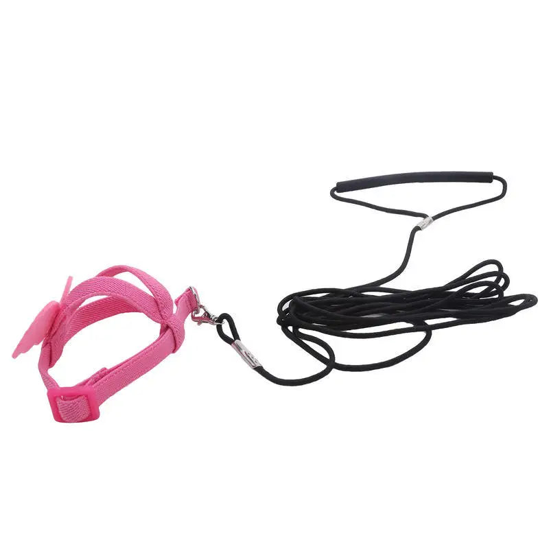 Parrot Flying Harness Leash Suit Macaw
