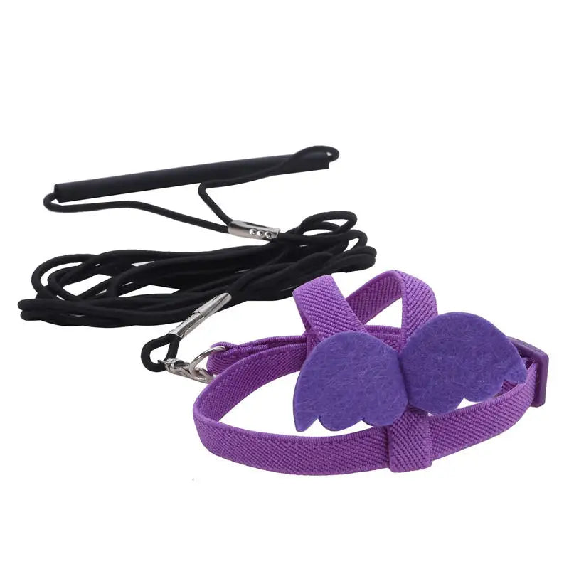 Parrot Flying Harness Leash Suit Macaw