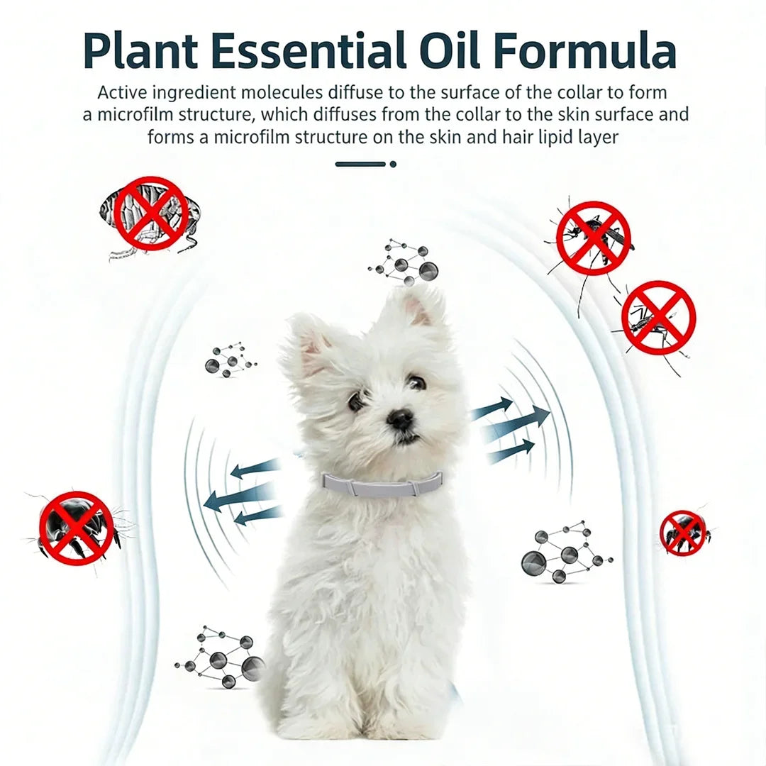 Safe Effective External Deworming Neck Collars