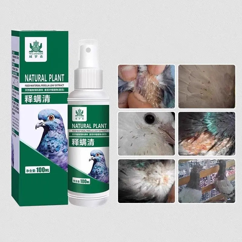 Spray to remove pigeon lice mites