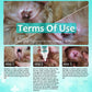 Cat Earmite Oil Ear Mitetreatment