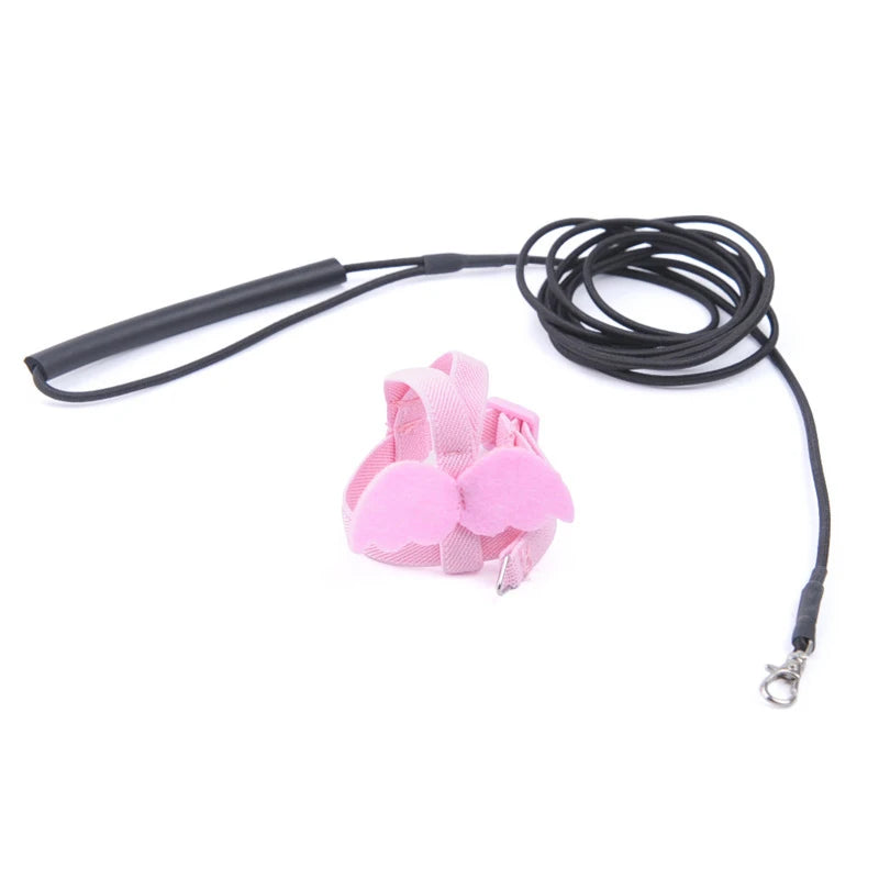 Parrot Flying Harness Leash Suit Macaw