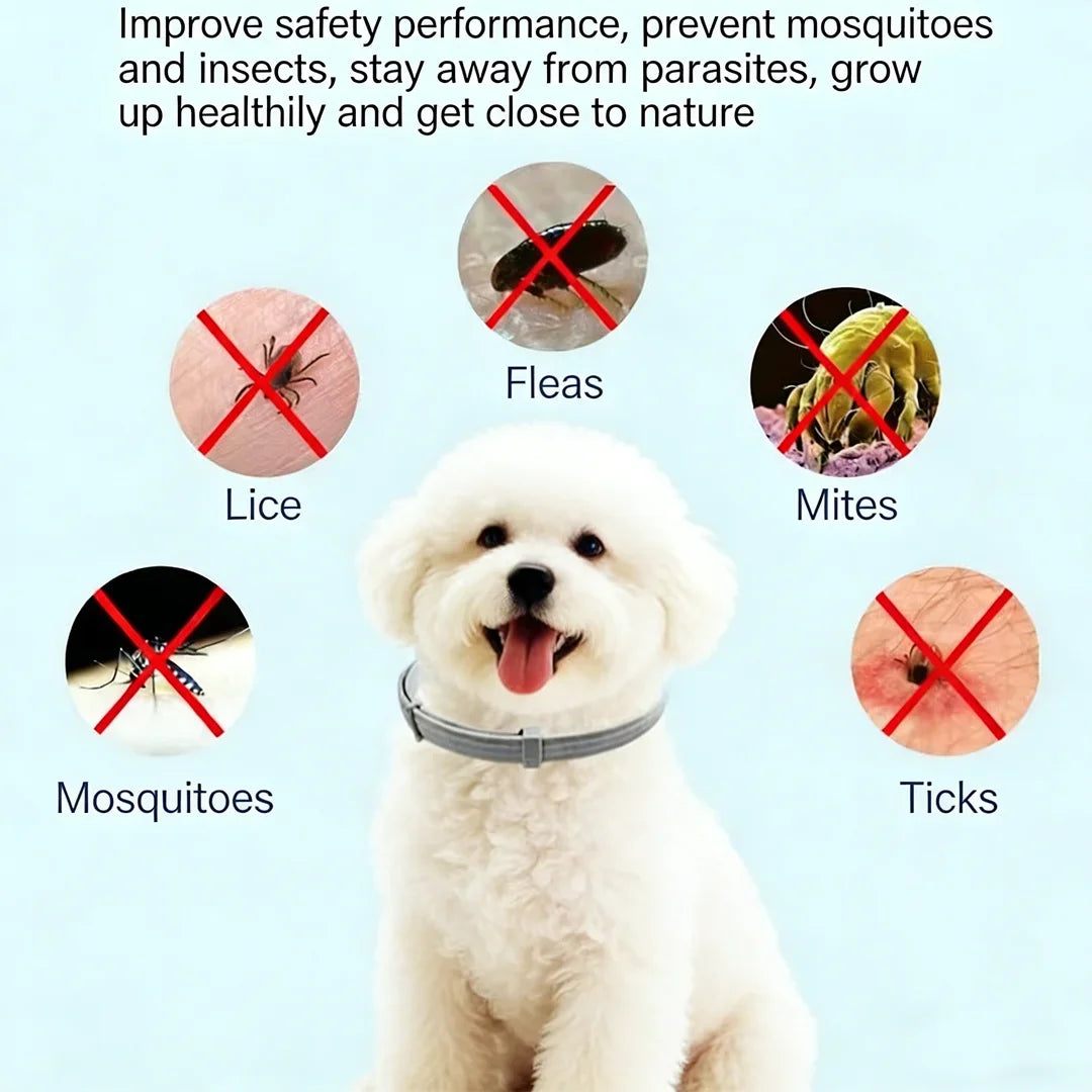 Safe Effective External Deworming Neck Collars