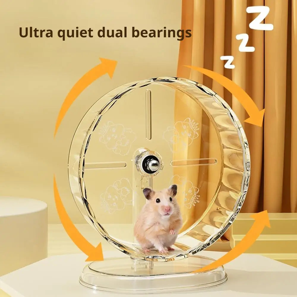 Silent Widened Transparent Running Wheel