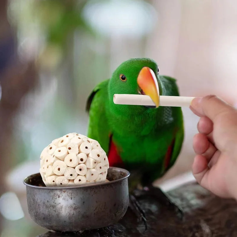 Parrot Chewing Toy Ball