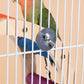 Ladder Bird Interaction Fun Climbing Parrot Toys