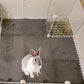 Foam Guinea Pig Hamster Soft Rabbit Sleeping Mat