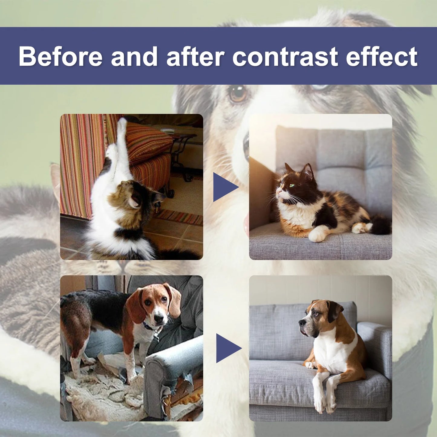 Anti Chewing Scratch Deterrent Spray Bitter