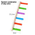 Ladder Bird Interaction Fun Climbing Parrot Toys