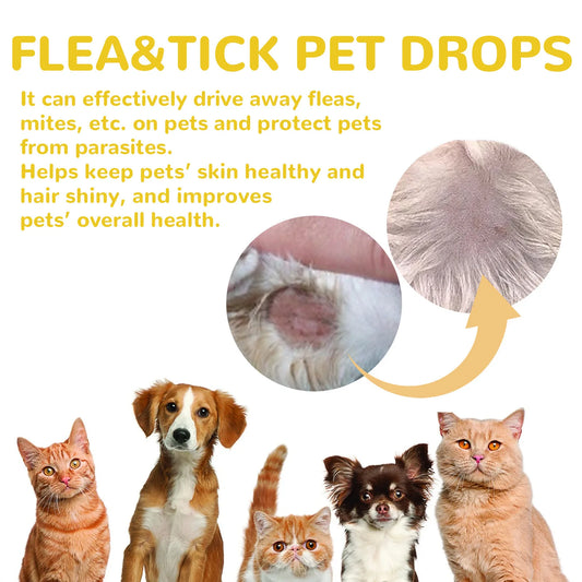 Fast-Acting Flea & Tick Treatment Drops
