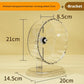 Silent Widened Transparent Running Wheel