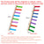 Ladder Bird Interaction Fun Climbing Parrot Toys