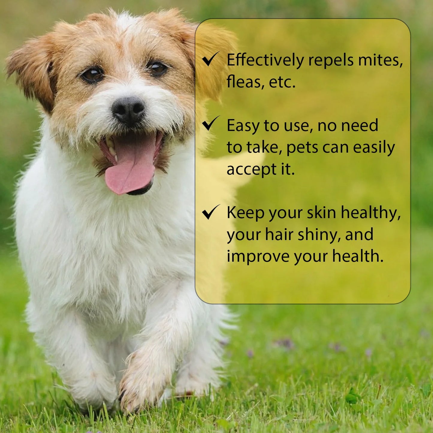 Fast-Acting Flea & Tick Treatment Drops