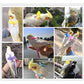 Parrot Flying Harness Leash Suit Macaw